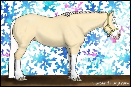Horse Color:Silver Amber Cream Champagne Dun Splash 