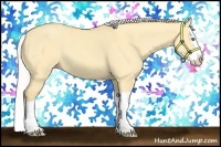 Horse Color:Silver Amber Cream Champagne Dun Splash 