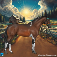 Horse Color:Brown Tobiano 