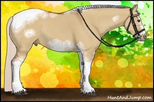 Horse Color:Silver Bay Dun Sabino Tobiano Frame Rabicano 