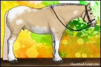 Horse Color:Silver Bay Dun Sabino Tobiano Frame Rabicano 