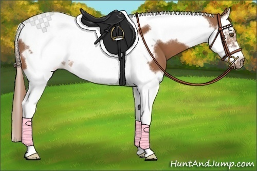 Horse Color:Chestnut Splash Tobiano Frame