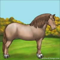 Horse Color:Liver Chestnut Pearl 