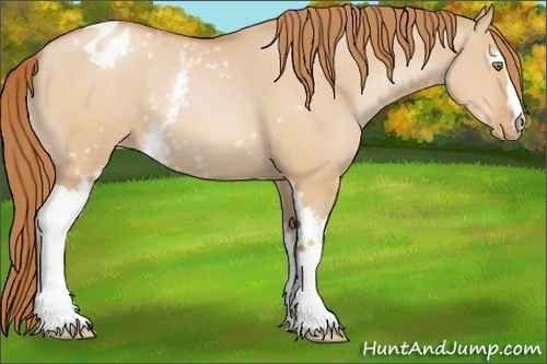 Horse Color:White Spotted Bay Pearl Dun Varnish 