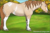 Horse Color:White Spotted Bay Pearl Dun Varnish 