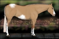 Horse Color:Silver Bay Dun Sabino Tobiano Frame Rabicano 