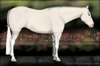 Horse Color:Cremello Roan Tobiano 