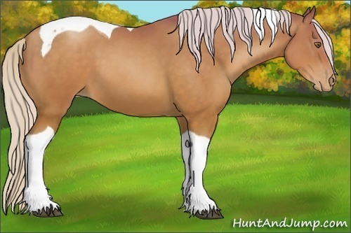 Horse Color:Silver Brown Pearl Tobiano 