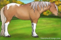Horse Color:Silver Brown Pearl Tobiano