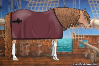 Horse Color:Gold Champagne 