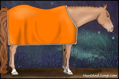 Horse Color:Gold Champagne 