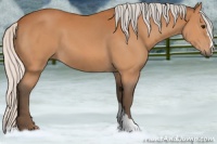 Horse Color:Silver Bay 