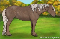 Horse Color:Silver Black 