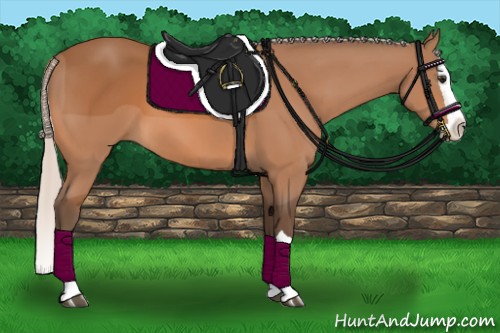 Horse Color:Silver Bay Splash 