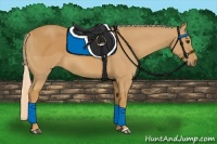 Horse Color:Palomino 