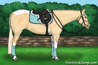 Horse Color:Palomino Dun Tobiano 