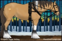 Horse Color:Buckskin Sabino Tobiano 