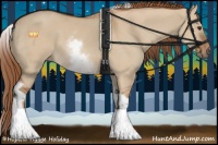 Horse Color:White Spotted Red Dun Tobiano