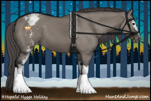 Horse Color:White Spotted Grullo Appaloosa 