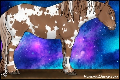Horse Color:White Spotted Chestnut 