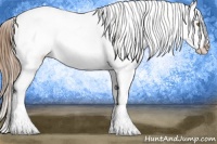 Horse Color:Brown Ice Pearl Sabino 