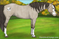 Horse Color:Smoky Grullo Roan Splash