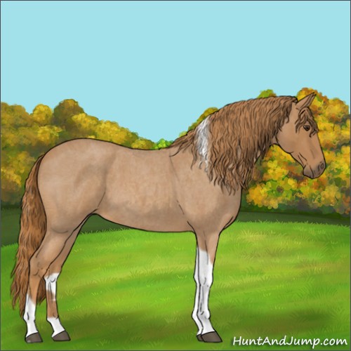 Horse Color:Red Roan Tobiano 