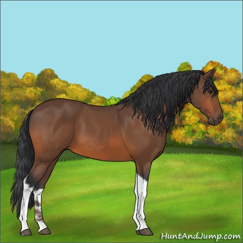 Horse Color:Bay Tobiano 