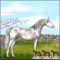 Horse Color:White Spotted Chocolate Palomino Pearl Sabino Splash 