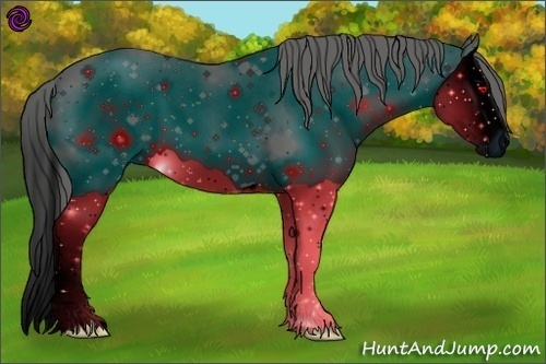 Horse Color:ERROR: UNKNOWN ANOMALY