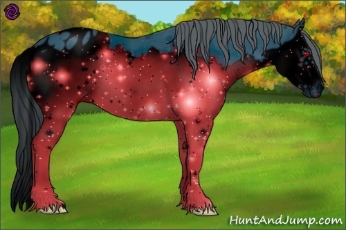 Horse Color:ERROR: UNKNOWN ANOMALY