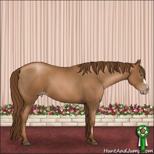 Horse Color:Gray Chestnut Pearl 