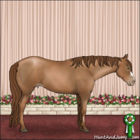 Horse Color:Gray Chestnut Pearl