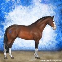 Horse Color:Bay Splash Rabicano 