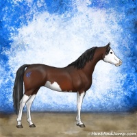 Horse Color:Brown Splash