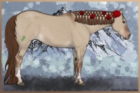Horse Color:Liver Red Dun Tobiano Rabicano