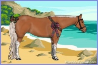 Horse Color:Silver Bay Tobiano Rabicano 