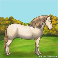 Horse Color:White Spotted Buckskin Pearl 