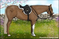 Horse Color:Chocolate Palomino 