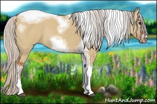 Horse Color:Silver Bay Dun Sabino Tobiano Frame Rabicano 