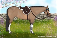 Horse Color:Bay Dun