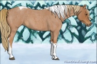 Horse Color:Red Roan Tobiano 