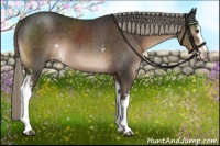 Horse Color:White Spotted Liver Chestnut Mushroom Varnish 