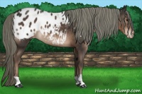 Horse Color:Liver Chestnut Mushroom Blanket 