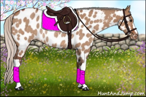 Horse Color:Silver Bay Dun Near Leopard Rabicano