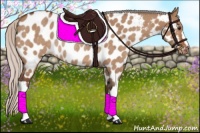 Horse Color:Silver Bay Dun Near Leopard Rabicano 