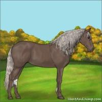 Horse Color:Silver Black 