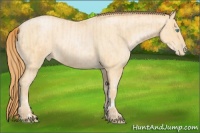 Horse Color:Buckskin Roan Pearl Tobiano and Buckskin Roan Pearl