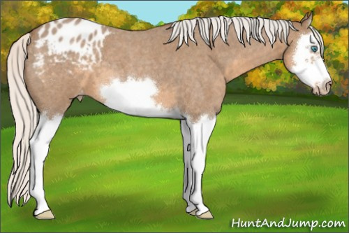 Horse Color:Gray Silver Smoky Creme Roan Splash Frame Blanket 