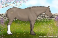 Horse Color:Silver Grullo